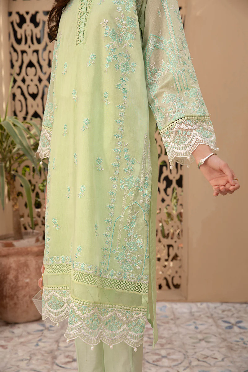 Suit Green DW-EF21-15 - Image 4
