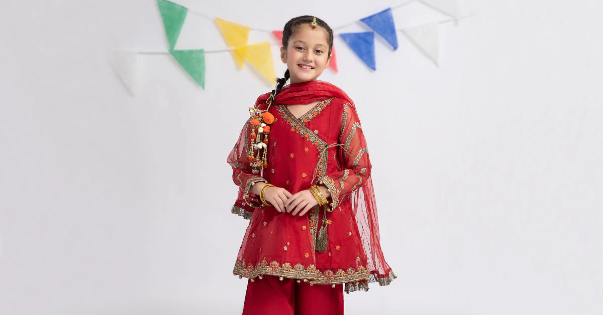 3 Piece Embroidered Organza Suit - Image 7