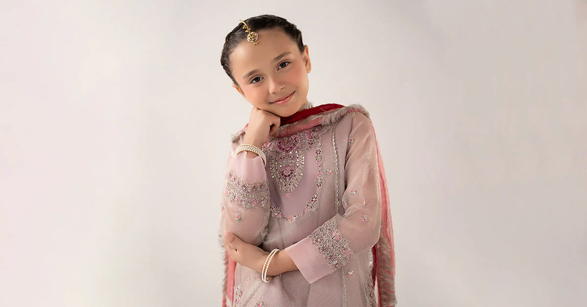 3 Piece Embroidered Zari Net Suit - Image 7